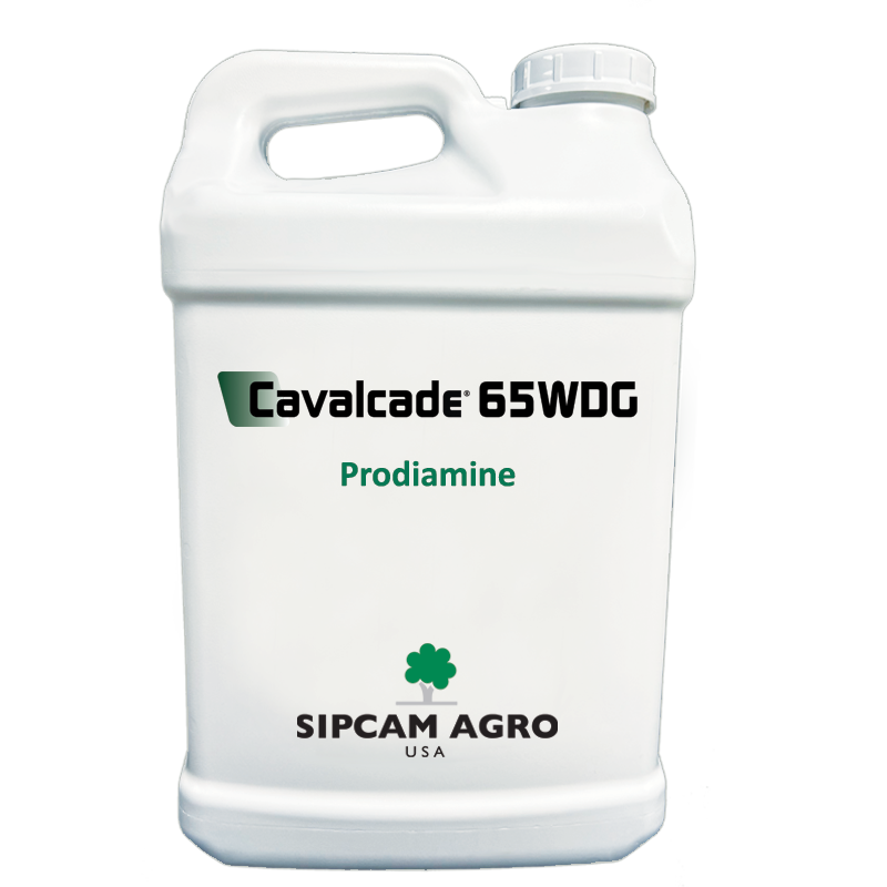 Sipcam Italia - Cavalcade 65WDG