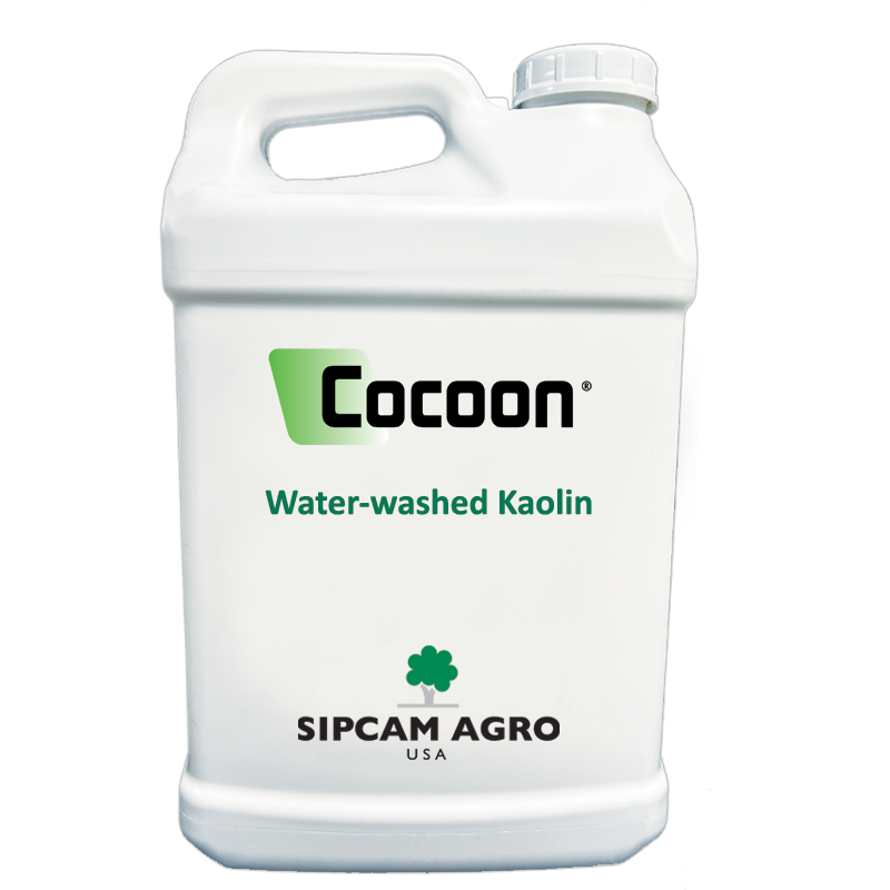 Sipcam Italia - Cocoon                