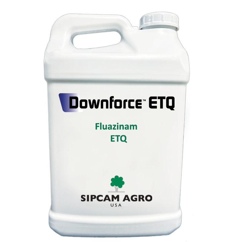 Sipcam Italia - Downforce ETQ