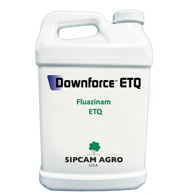 Downforce ETQ - Sipcam USA