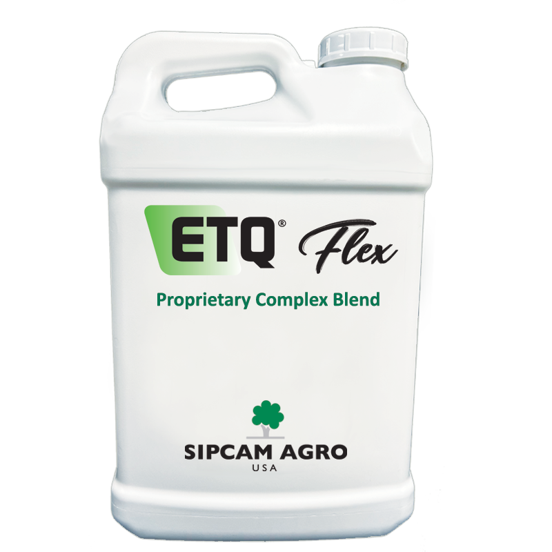 ETQ Flex - Sipcam Italia