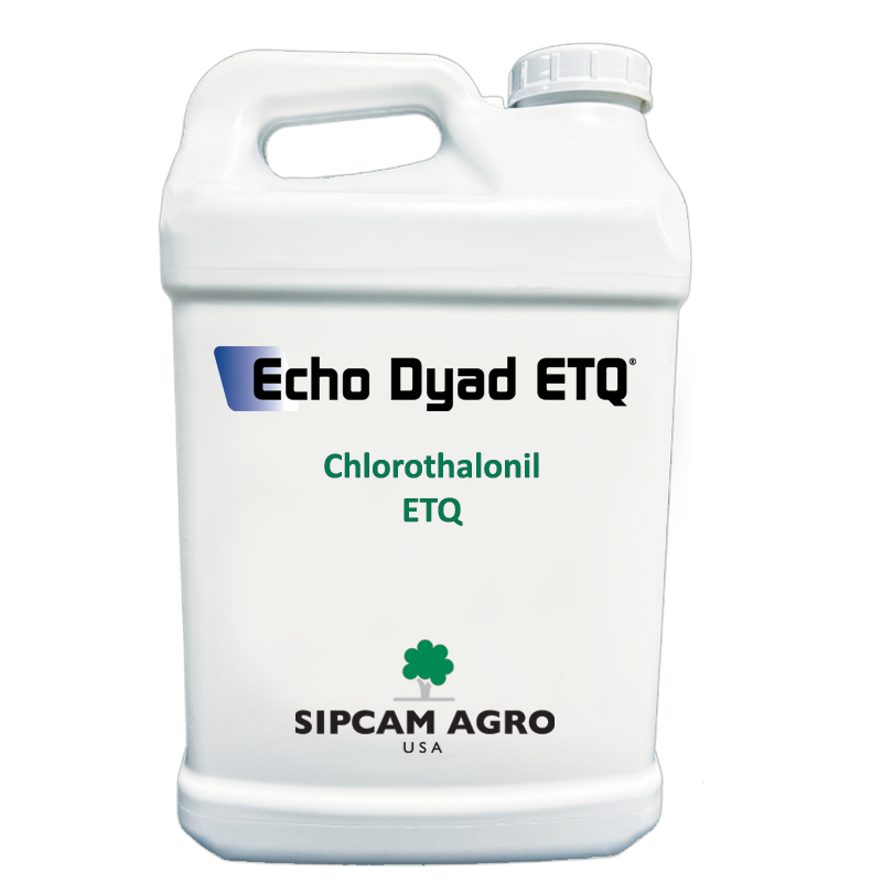 Sipcam Italia - Echo Dyad ETQ