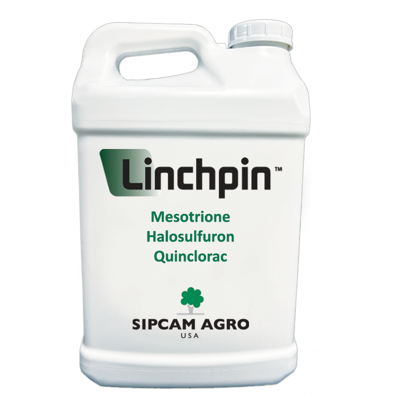 Sipcam Italia - Linchpin