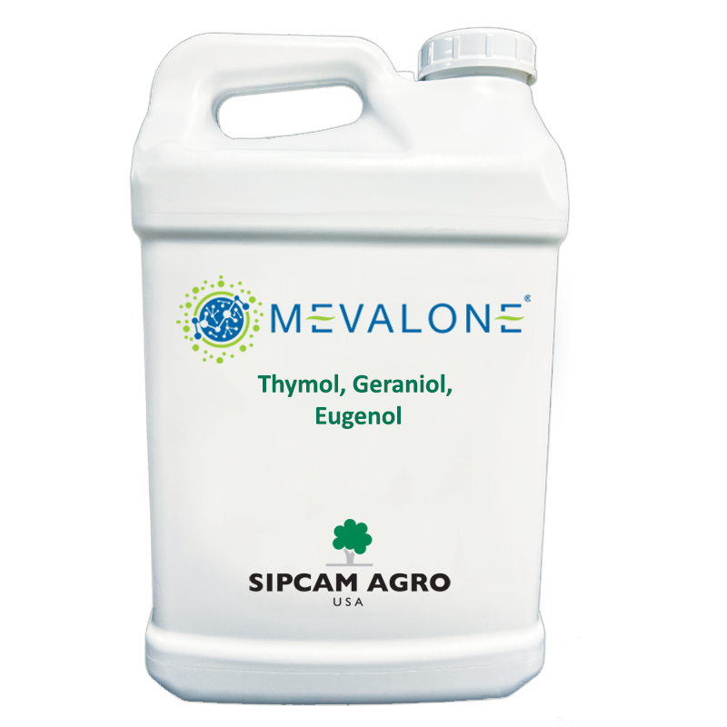 Sipcam Italia - Mevalone