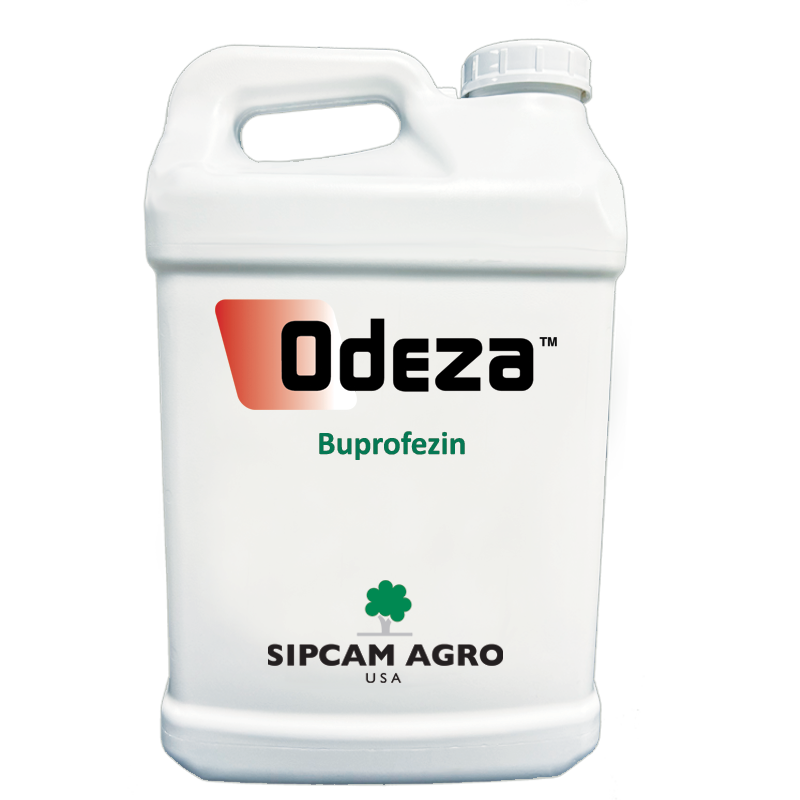 Odeza - Sipcam USA