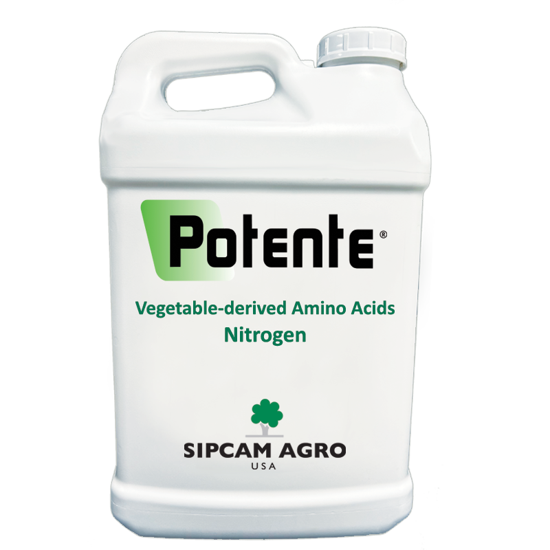 Sipcam Italia - Potente