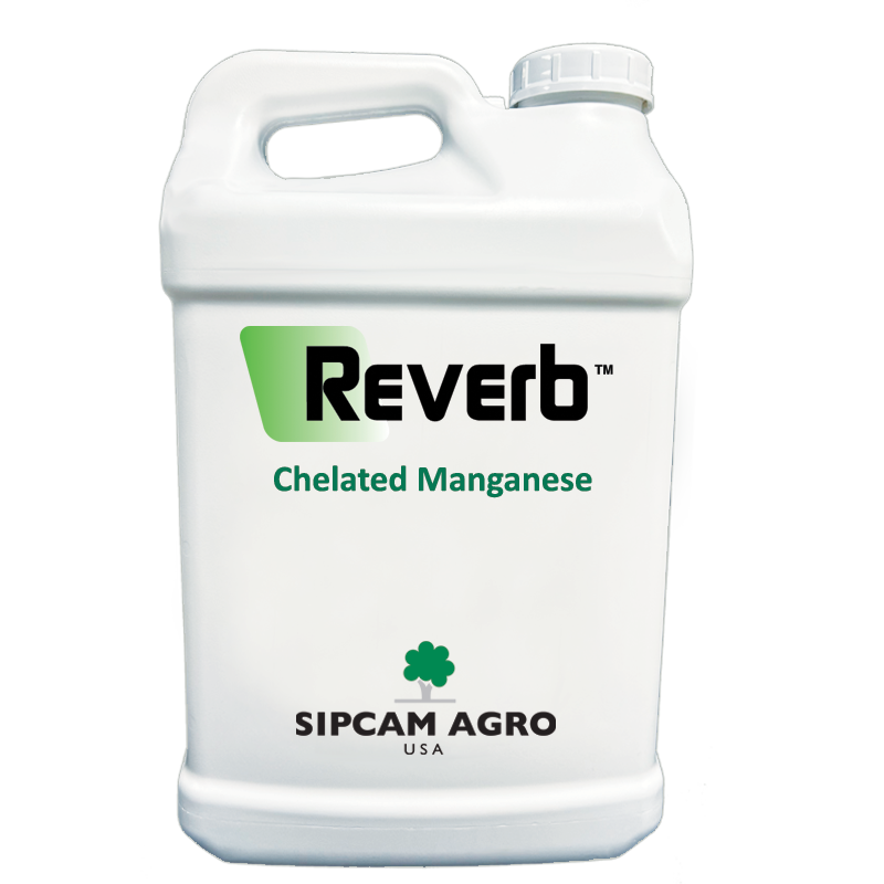Sipcam Italia - Reverb