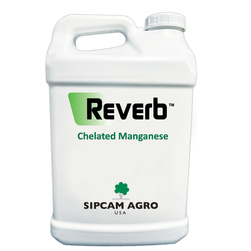 Reverb - Sipcam USA
