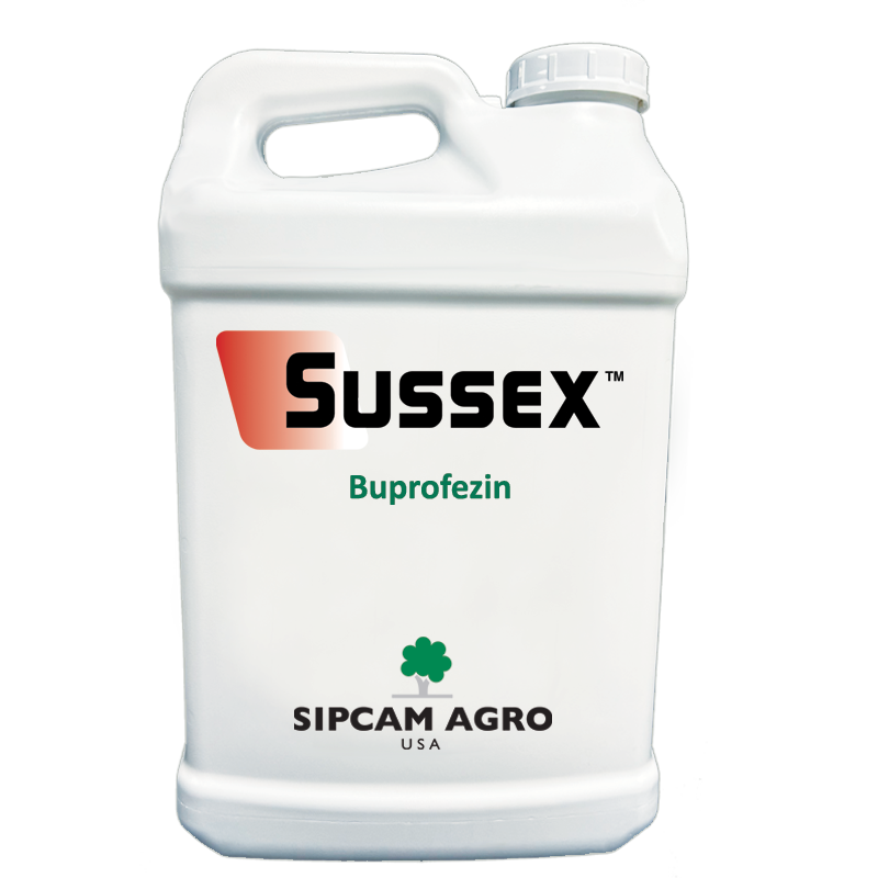 Sipcam Italia - Sussex
